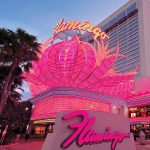 flv-exterior-sign-palms-800x900