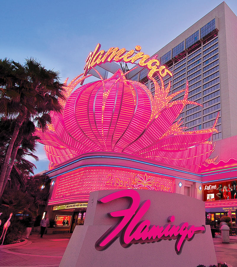 flv-exterior-sign-palms-800x900